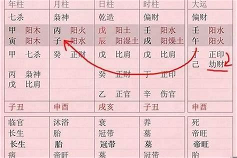 八字坐|八字的坐是什么意思 (什么坐什么是指天干坐地支吗)